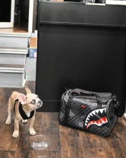 3AM PET CARRIER