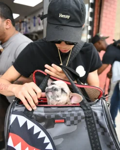 3AM PET CARRIER