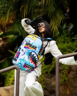 COLLAGE OF RANDOM DLXSR BACKPACK