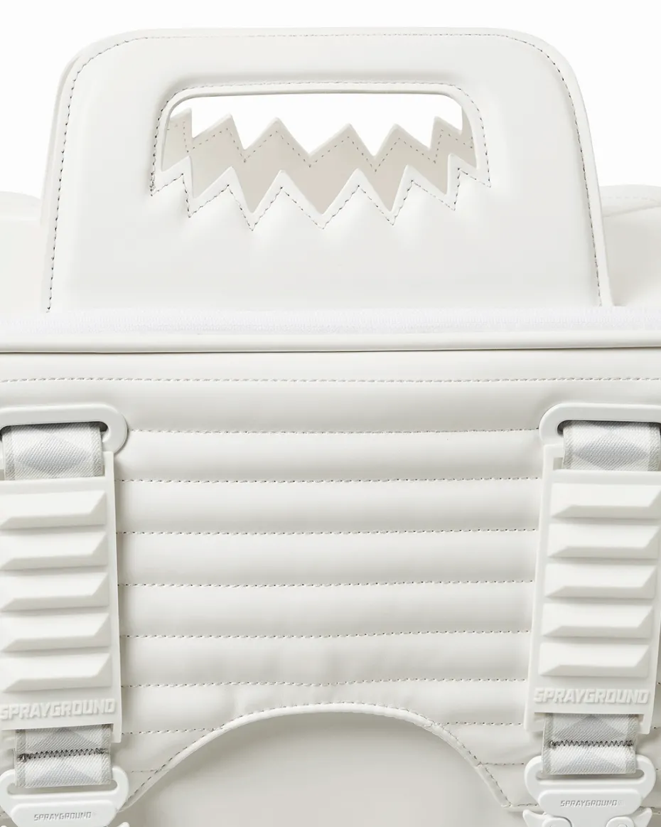 FUTURE TRAVELER JETSETTER CARRY-ON LUGGAGE
