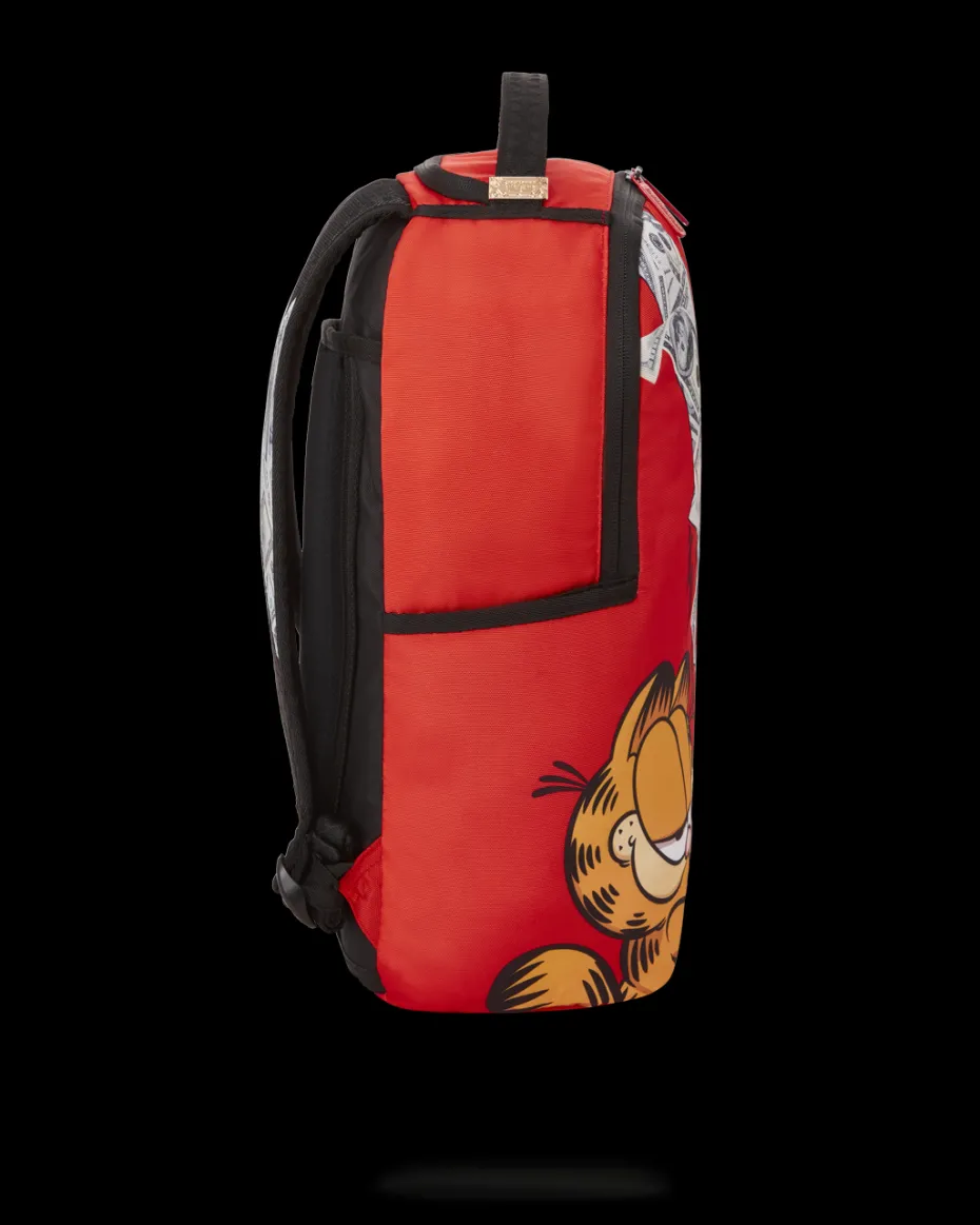 GARFIELD CAT SCRATCH (DLXR)