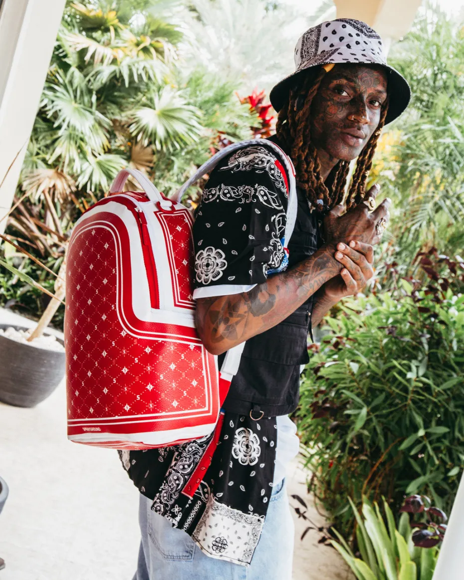 MODUS OPERANDI BACKPACK (DLXV)
