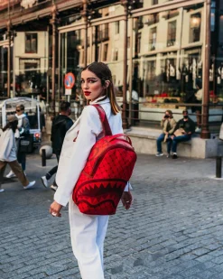 MONEY PATTERN BRICK BACKPACK (DLXV)