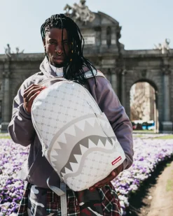 MONEY PATTERN POWDER BACKPACK (DLXV)