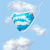 SKYBORNE FACE MASK