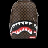SLEEK SHARKS IN PARIS (BROWN)
