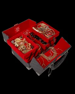 SPRAYGATTI REVV JEWELRY CASE